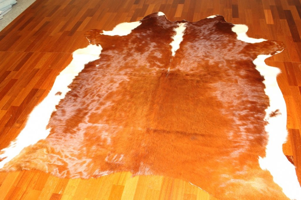 Kaffekanna åker bort (Hardcover)