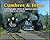 Cumbres & Toltec: A Photogr...