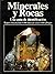 MINERALES Y ROCAS by HOCHLEITNER