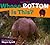 Whose Bottom Is This? (Whose.? Animal) by Wayne Lynch (2010-01-01)
