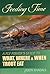 Feeding Time: A Fly Fisher's Guide to What, Where & When Trout Eat by Jason Randall (2013-09-01)