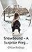 Snowbound - A Surprise Pregnancy Romantic Suspense by Chloe Bishop