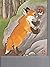 Fox Board Book