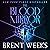 The Blood Mirror (Lightbringer, #4)