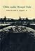 China Under Mongol Rule (Princeton Legacy Library)