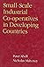 Small-Scale Industrial Producer Co-operatives in Developing Countries