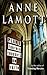 plan b further thoughts on faith by Anne Lamott