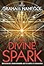 The Divine Spark: Psychedelics, Consciousness and the Birth of Civilization by Graham Hancock (Editor) â€º Visit Amazon's Graham Hancock Page search results for this author Graham Hancock (Editor) (6-Apr-2015) Paperback