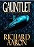 Gauntlet: A Novel of International Intrigue by Richard Aaron (2009-03-02)