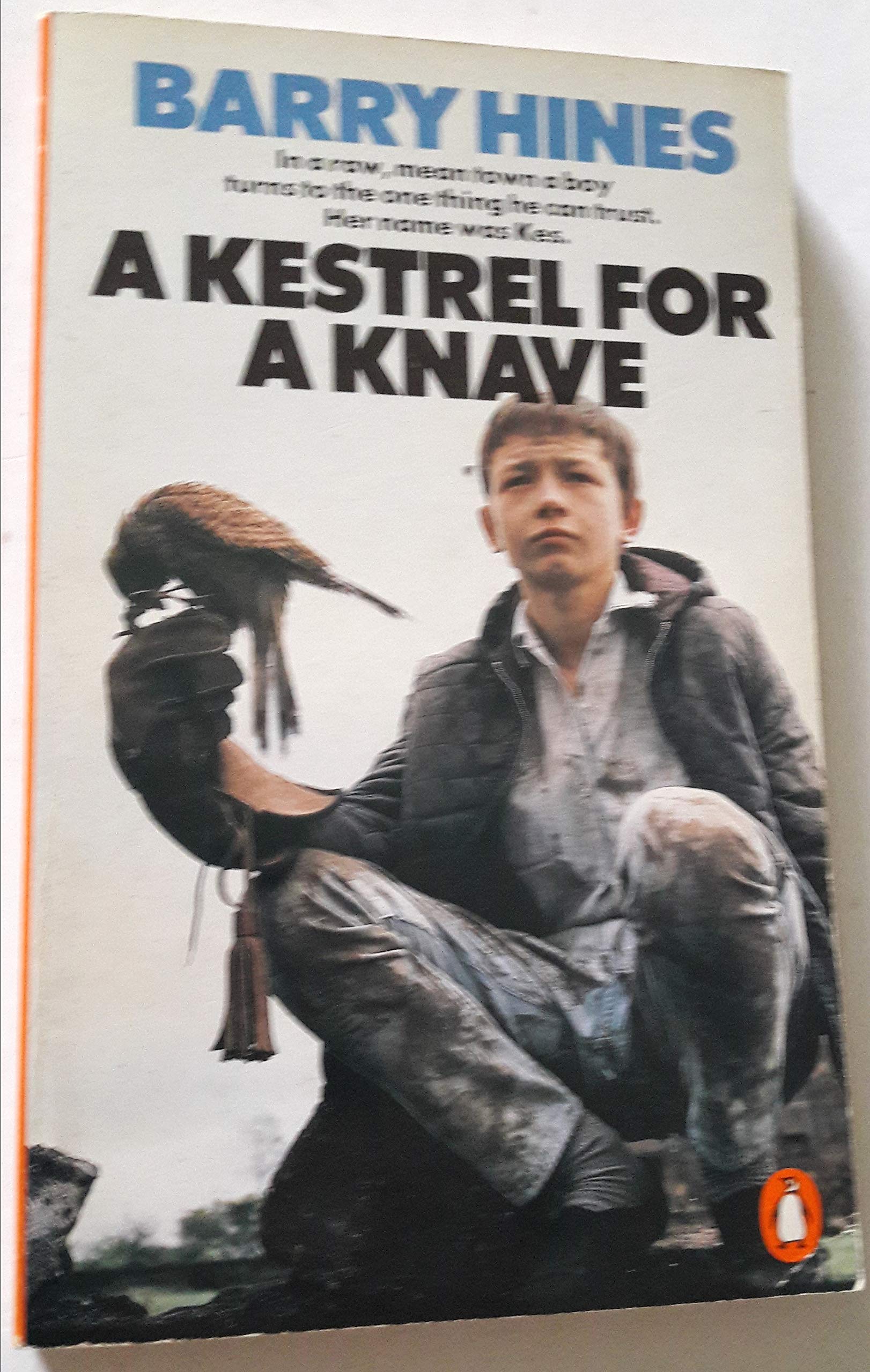 A Kestrel For A Knave