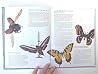 Owl's Question & Answer Book #1: Answers Questions Kids ask About Birds Cats Bats UFOs and More Owl's Question & Answer Book #1: Answers Questions Kids ask About Birds Cats Bats UFOs and More
