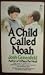 A Child Called Noah