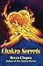 Chakra Secrets by Becca Chopra (2012-08-31)