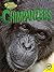 Chimpanzees (Amazing Primates) by Helen Lepp Friesen (2015-07-15)