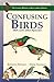 Confusing Birds by Kenneth Newman