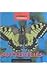 Butterflies (Animals Animals)