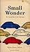 Small Wonder: The Amazing Story of the Volkswagen. by Walter Henry Nelson (1970-01-03)