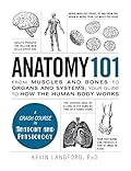 Anatomy 101: From Muscles and Bones to Organs and Systems, Your Guide to How the Human Body Works (Adams 101) by Kevin Langford