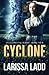 Cyclone (An Elemental Series) (Volume 4) by Larissa Ladd (2014-11-27)
