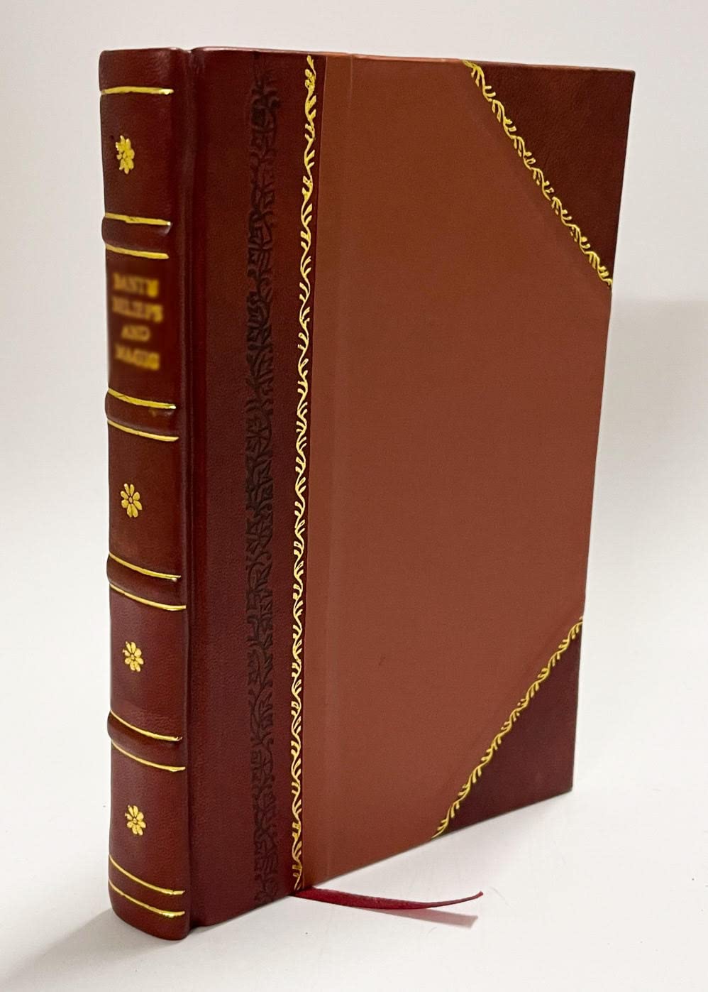Muittalus Samid Birra En Bog Om Lappernes Liv, Af Den Svenske Lap Johan Turi. Udgivet Med Dansk Oversae Ttelse Af Emilie Demant; Paa Foranstaltning Og Med Forord Af Hjalmar (1910) [Leather Bound]