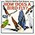 How Does a Bird Fly? (Usborne Starting Point Science) by Kate Needham (1995-12-31)