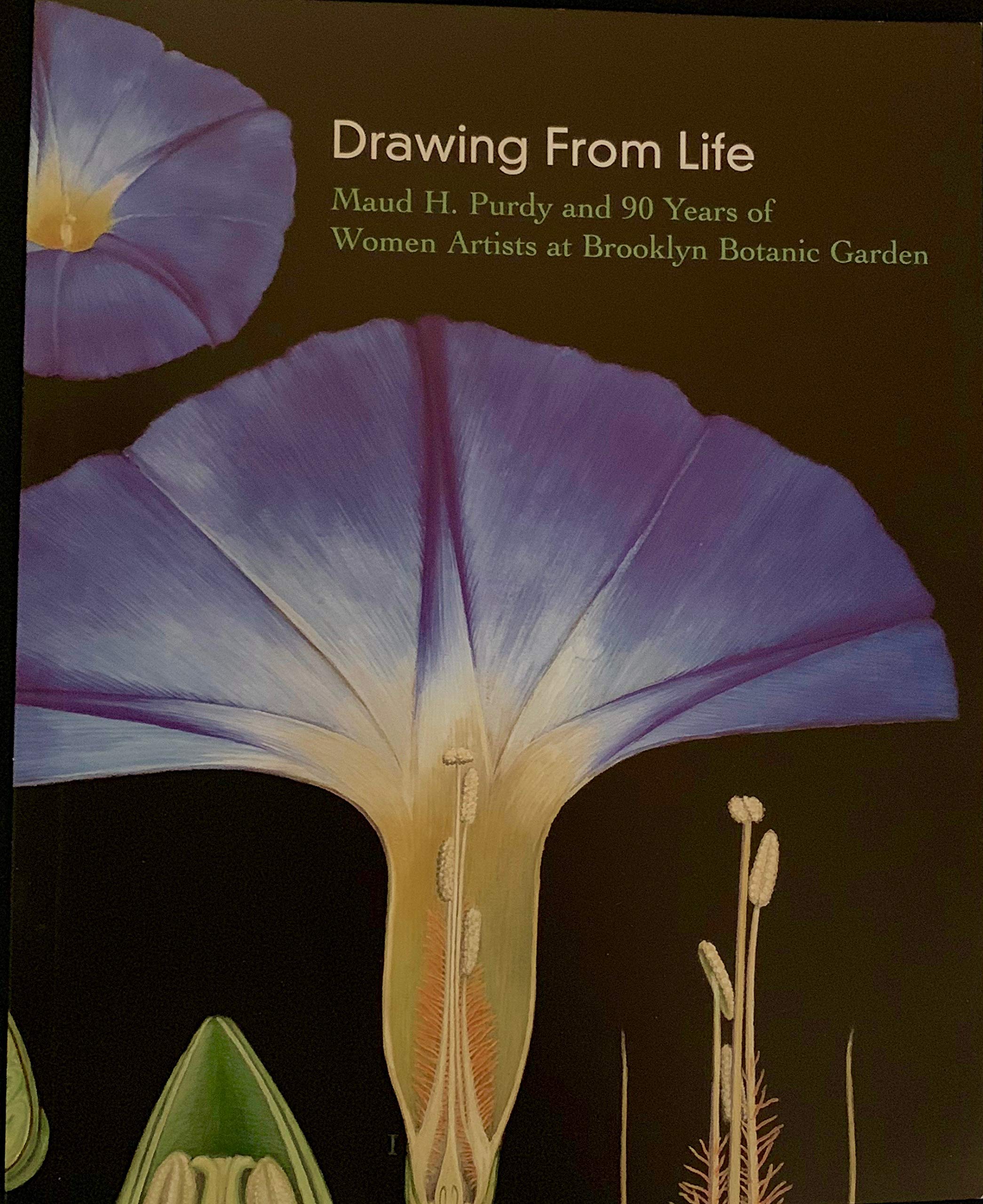 Drawing from Life: Maud H Purdy and 90 Years of Women Artists at Brooklyn Botanic Garden (Paperback)