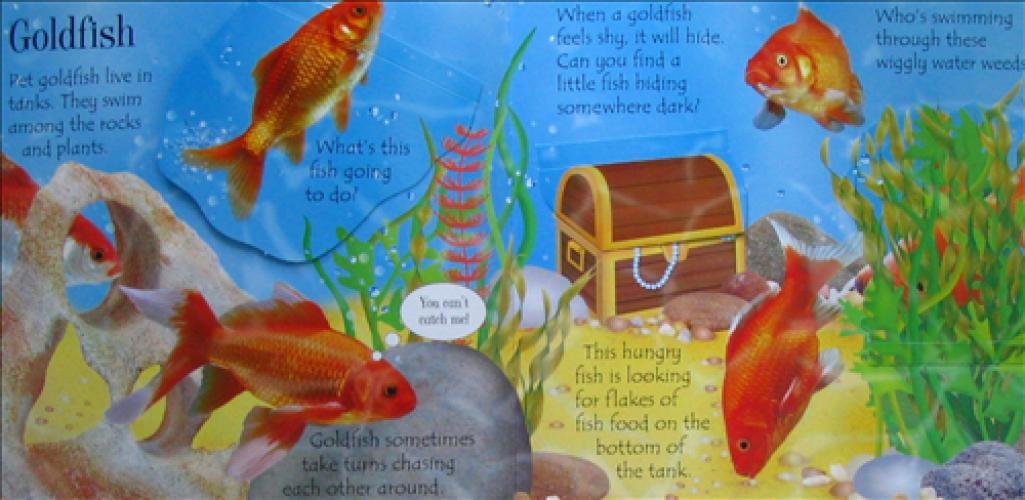 Usborne Lift-the-flap Pets (Paperback)