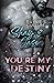 Shay & Jase: YOU´RE MY DESTINY