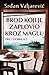 Brod koji je zaplovio kroz maglu by Srđan Valjarević