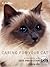 Caring For Your Cat: In association with Cats Protection: In Association with the Cats Protection League by Angela Gair (2-Jan-2001) Paperback