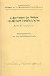 Mesoformen Des Reliefs Im Heutigen Periglazialraum: Bericht Uber Ein Symposium (Kleine Vandenhoeck Reihe) (German Edition)