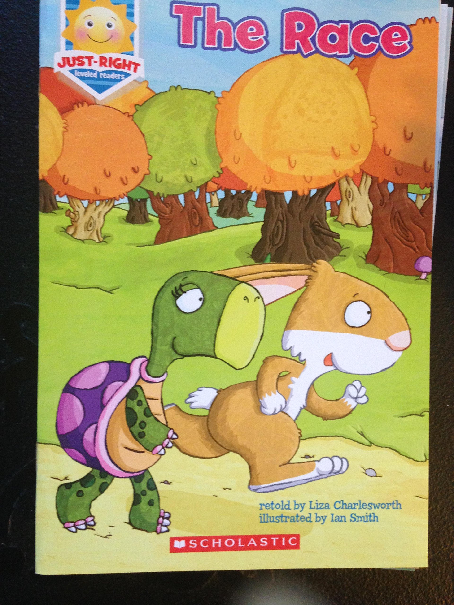 The Race (Paperback)