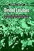 Divided Loyalties: Nationalism and Mass Politics in Syria at the Close of Empire by James L Gelvin (7-Jan-1999) Paperback
