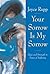 Your Sorrow Is My Sorrow: Hope and Strength in Times of Suffering by Joyce Rupp (1999-03-01)