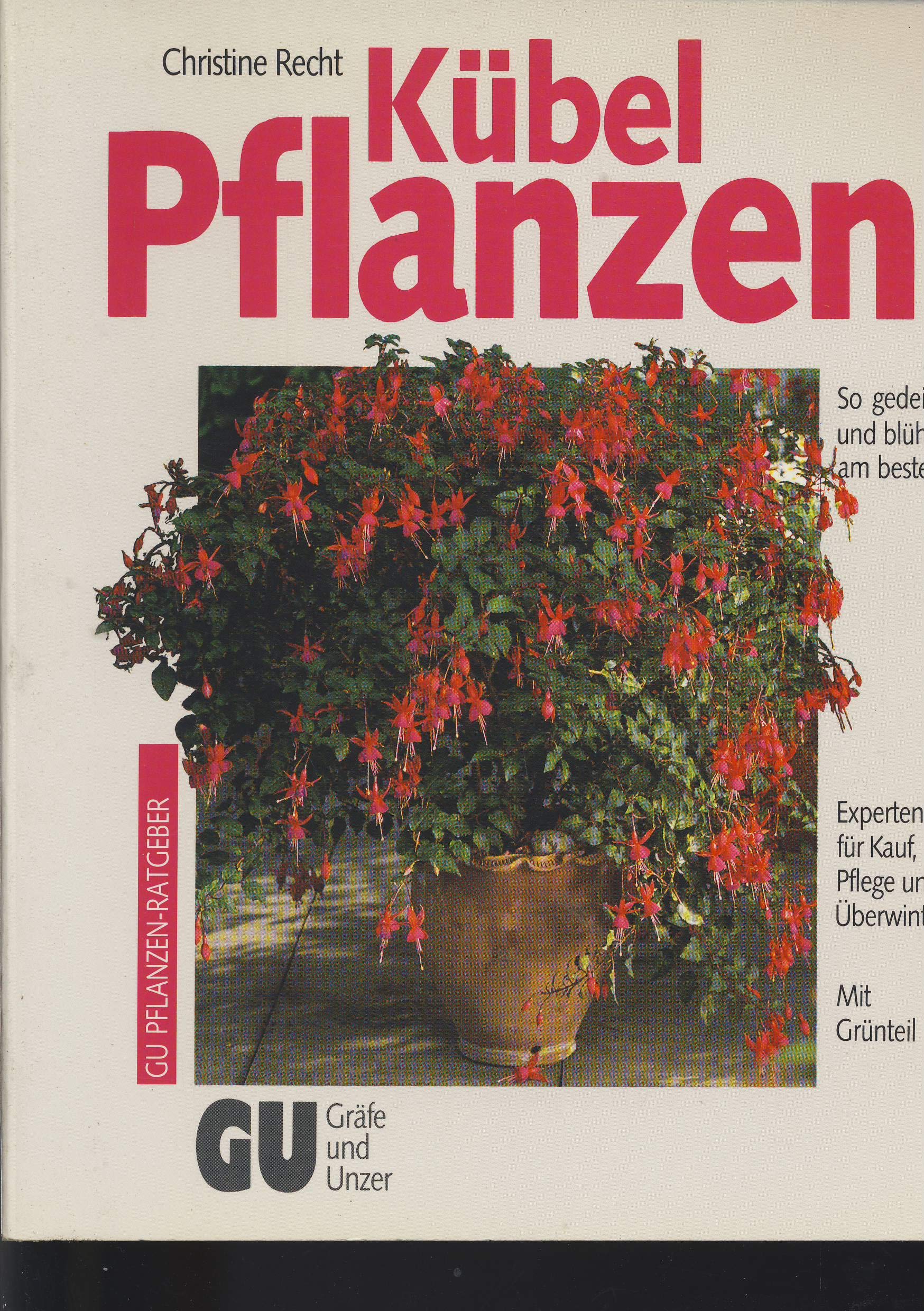 Kübelpflanzen. So gedeihen und blühen sie am besten. Experten-Rat für Kauf, Pflege und Überwinterung (Paperback)