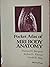 Pocket Atlas of Mri Body Anatomy