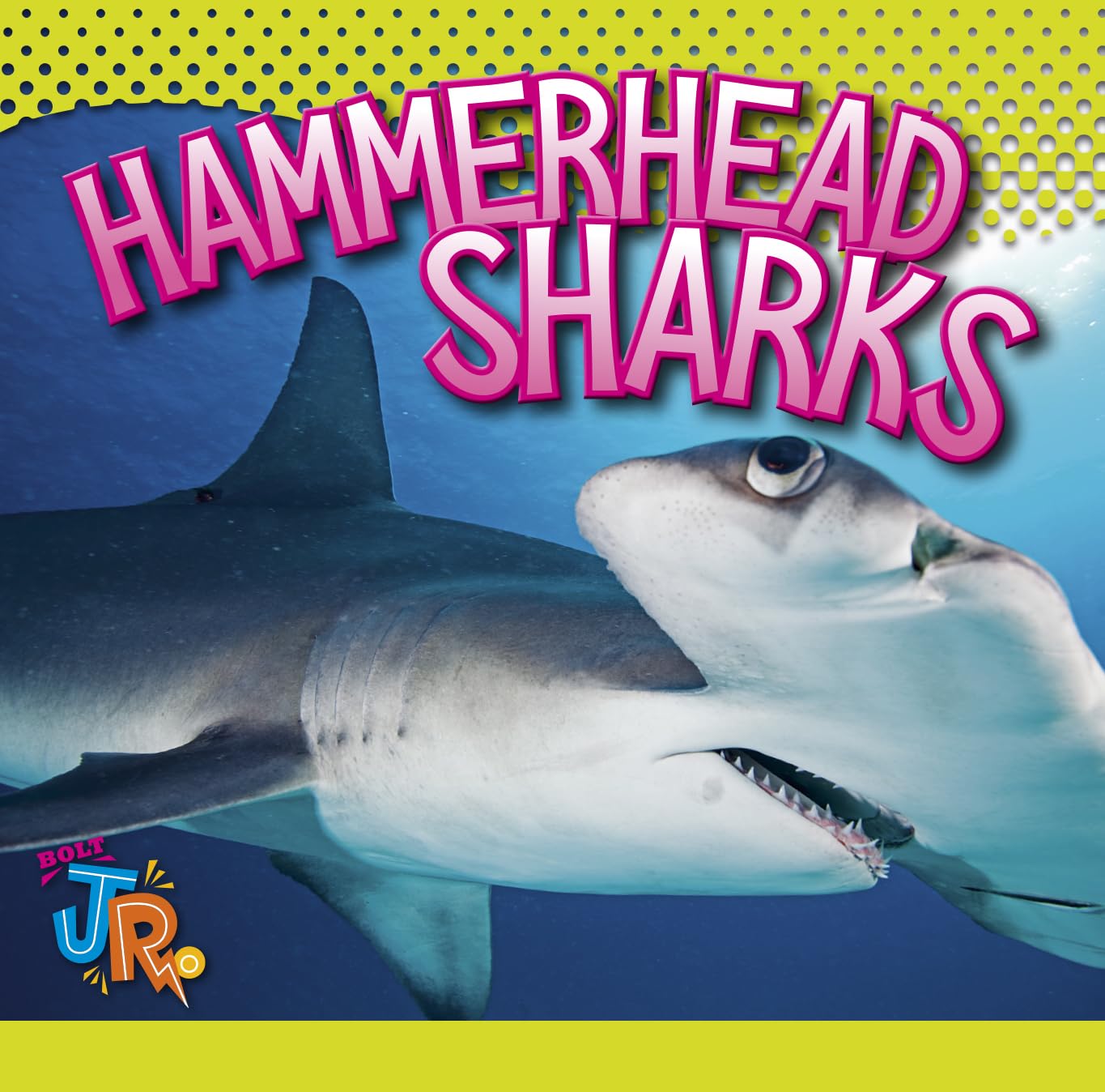 Hammerhead Sharks (World of Sharks)