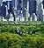 Central Park, An American Masterpiece by Sara Cedar Miller [Hardcover]