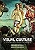 Visual Culture 2nd (second) Edition by Howells, Richard, Negreiros, Joaquim published by Polity Press (2011)
