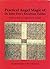 Practical Angel Magic of Dr. John Dee's Enochian Tables: Tabularum Bonorum Angelorum Invocationes (Sourceworks of Ceremonial Magic) by Dr Stephen Skinner (2010-09-08)