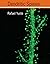Dendritic Spines