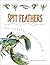 Spit Feathers (Lobster Chronicles) by Jessica Scott Kerrin (2013-08-01)
