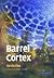 Barrel Cortex 1st Edition by Fox, Kevin (2008) Hardcover