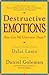Daniel Goleman: Destructive Emotions : A Scientific Dialogue with the Dalai Lama (Paperback); 2004 Edition