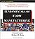 Fundamentals of Flow Manufacturing by Gerard Leone (2002-07-01)