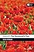 Atwood's The Handmaid's Tale (Reader's Guides) by Wisker, Gina published by Continuum (2010)