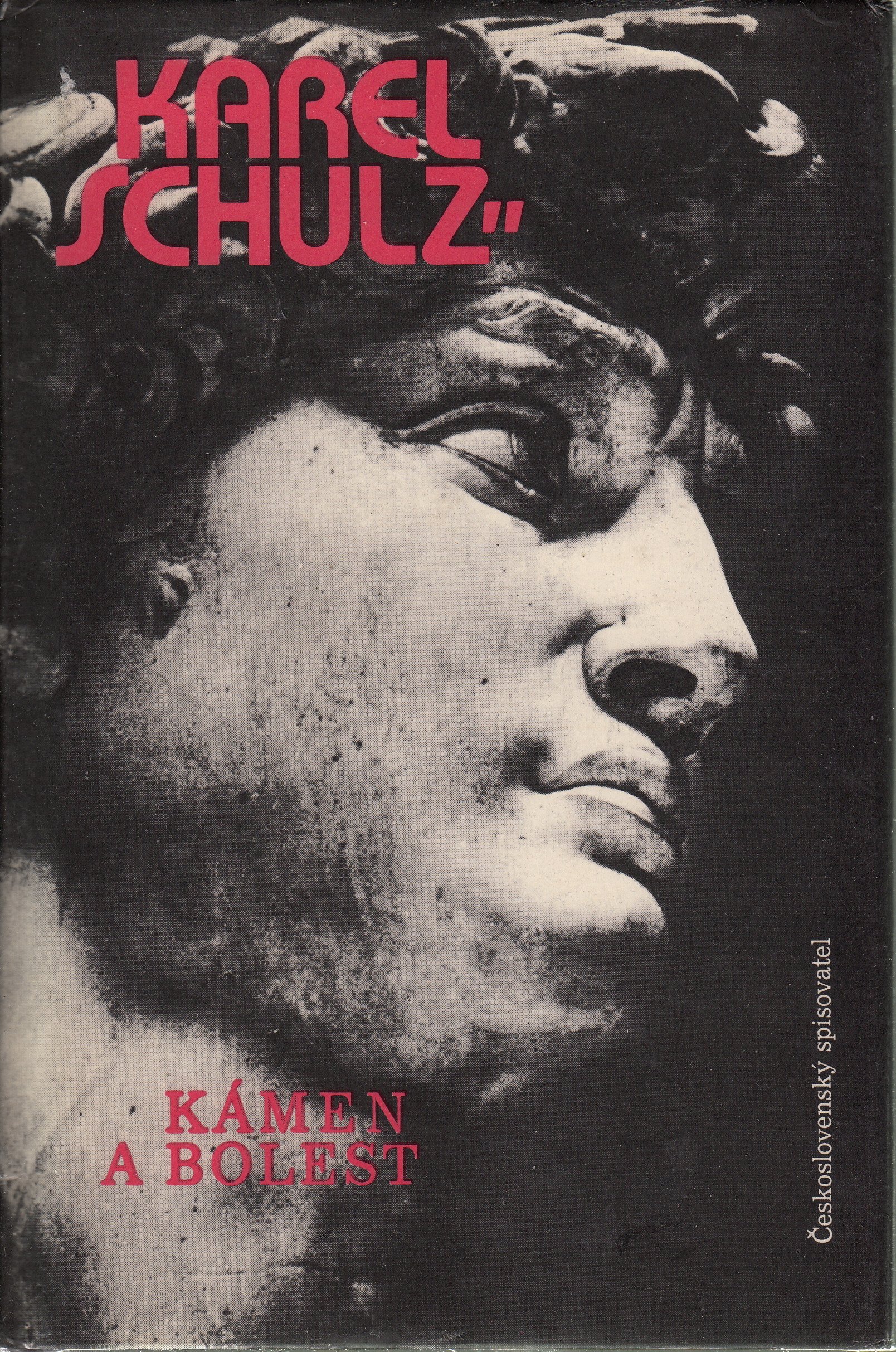 Kamen a Bolest (Hardcover)