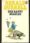 The Bafut Beagles...