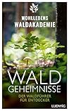 Waldgeheimnisse: ...