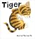 [(Tiger)] [By (author) Nick Butterworth ] published on (May, 2008)